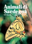 Animali di Sardegna -  gli Insetti