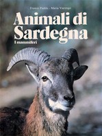 Animali di Sardegna - I Mammiferi